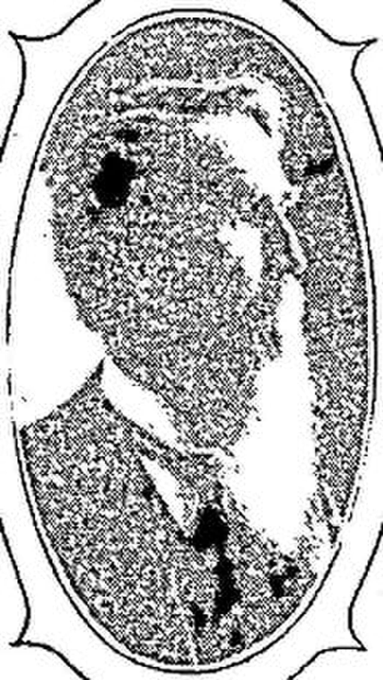 Portrait of Rodolph Crandall (1832–1922) – memorial page