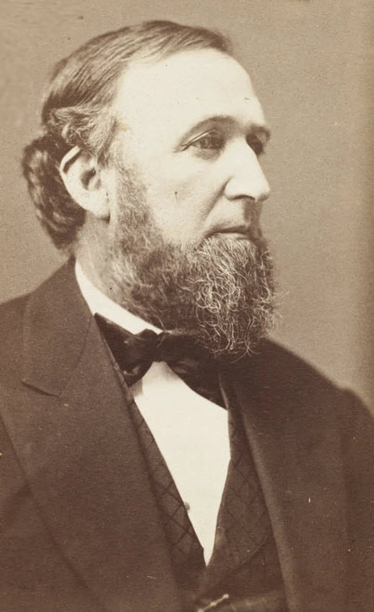 Portrait of Stephen H. Rhodes (1825–1909) – memorial page