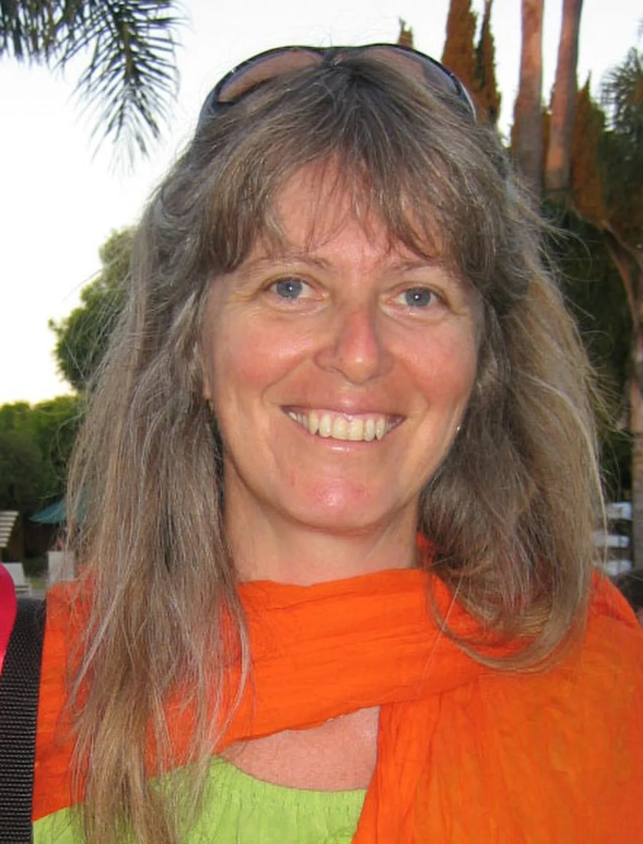 Portrait of Sue Richards (1958–2014) – memorial page
