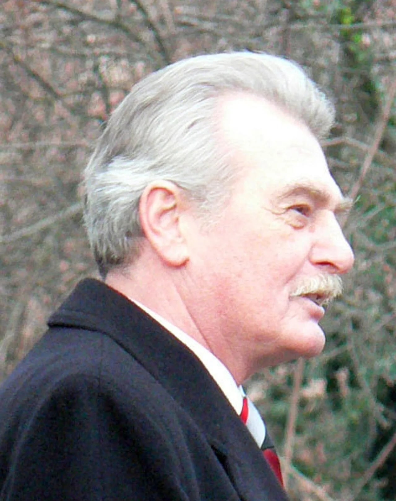 Portrait of Csongor Ferenczy (1939–2019) – memorial page