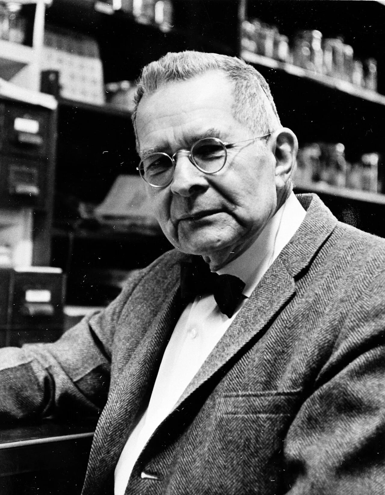 Portrait of Waldo L. Schmitt (1887–1977) – memorial page