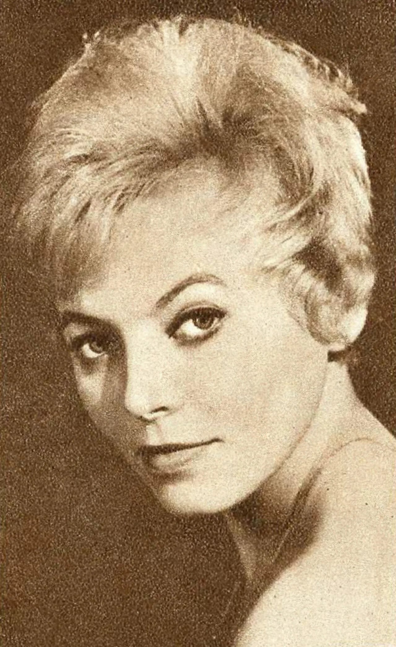 Portrait of Viktória Cseh (1938–1995) – memorial page