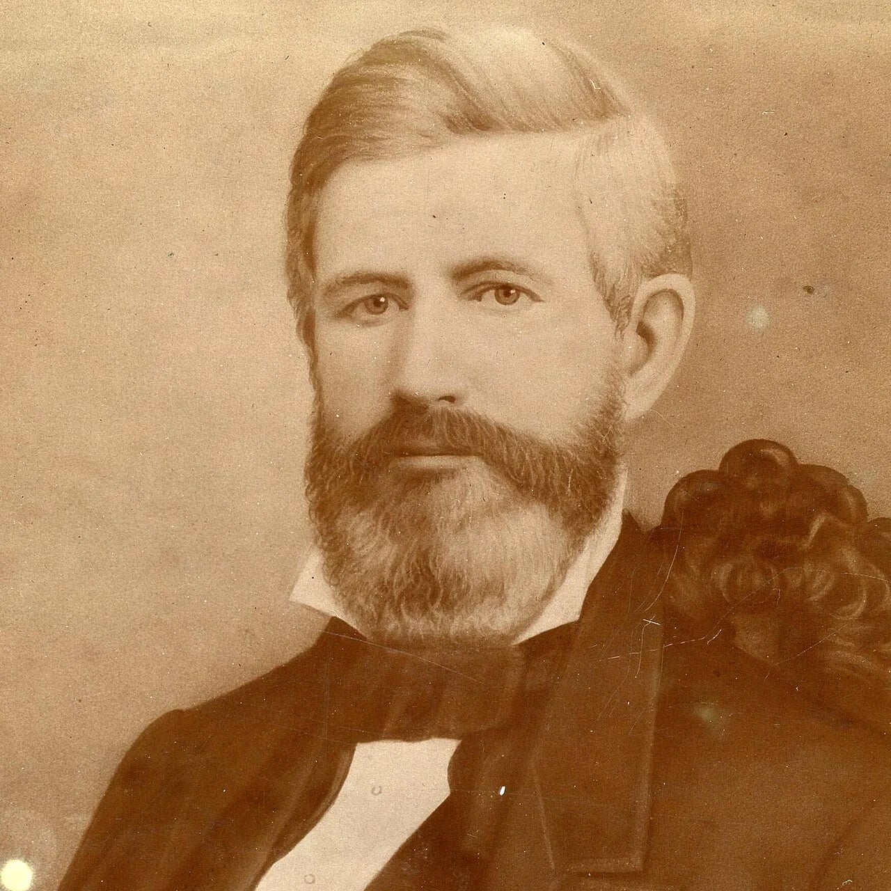 Portrait of William Henson Wallace (1811–1879) – memorial page
