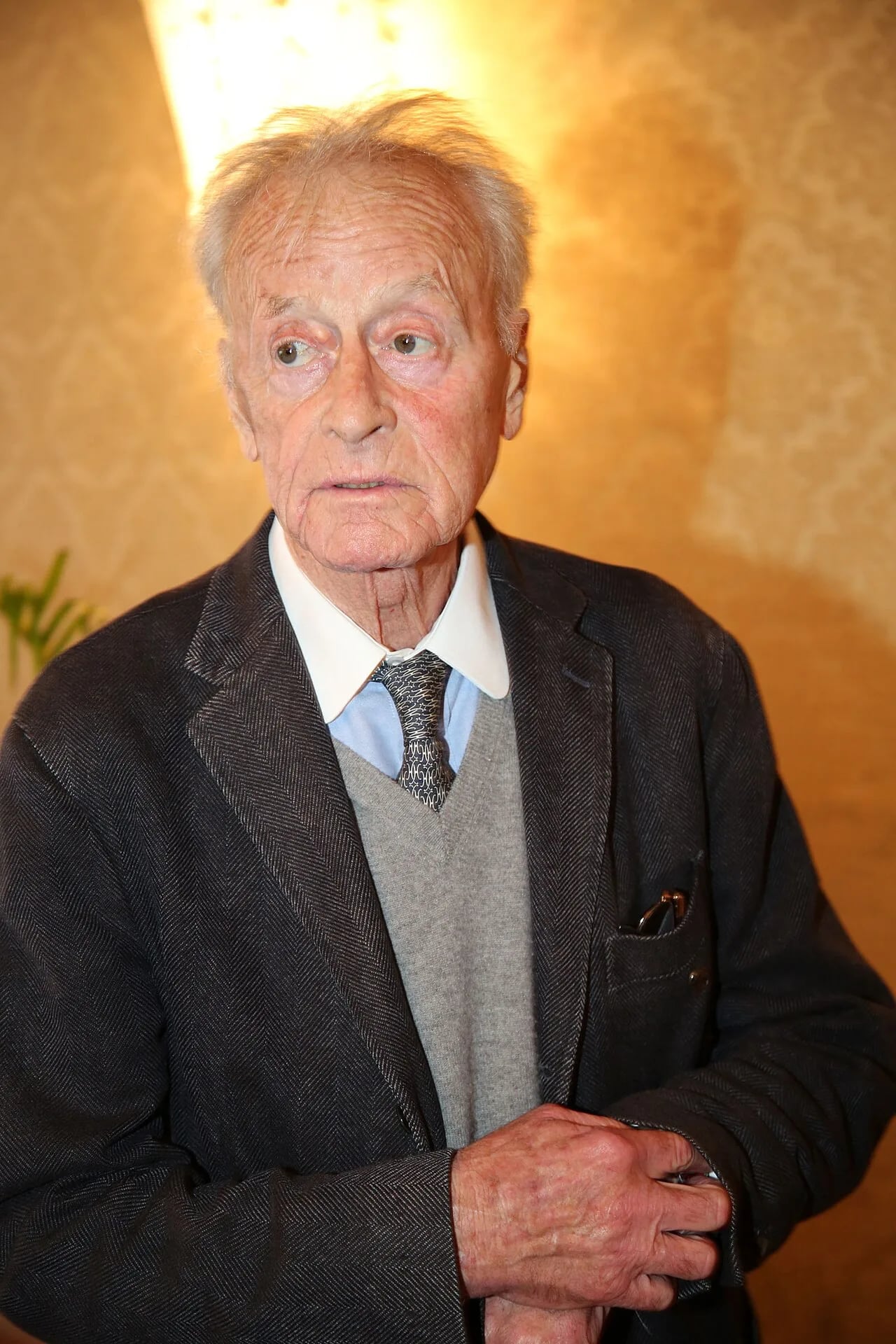 Porträt von Helmuth Lohner (1933–2015) – Gedenkseite