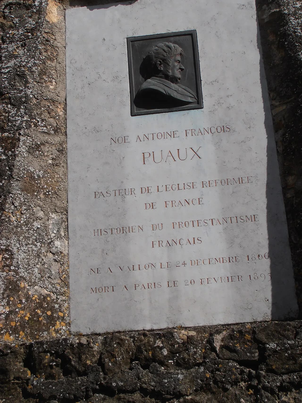 François Puaux