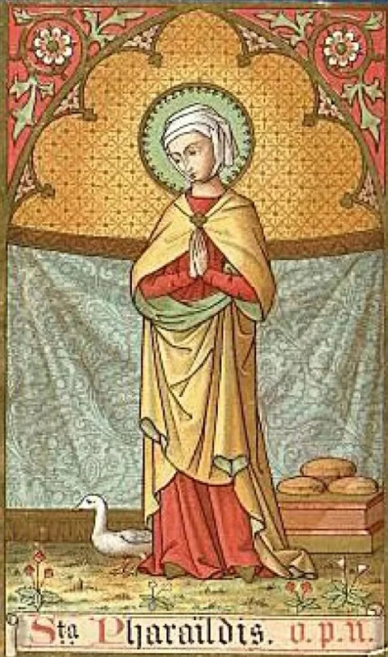 Porträt von Pharaildis (650–740) – Gedenkseite