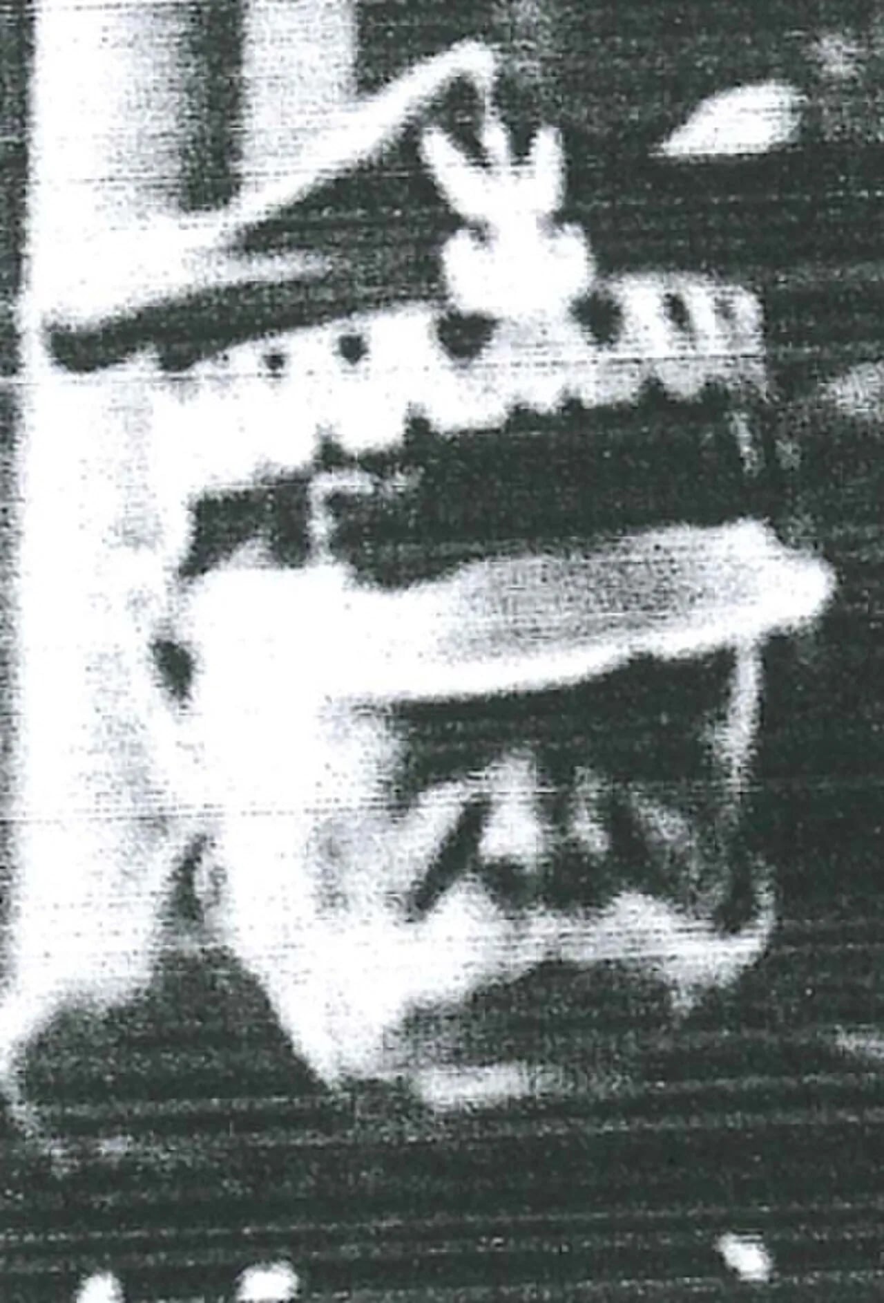Portrait of Stanisław Kaliszek (1863–1938) – memorial page