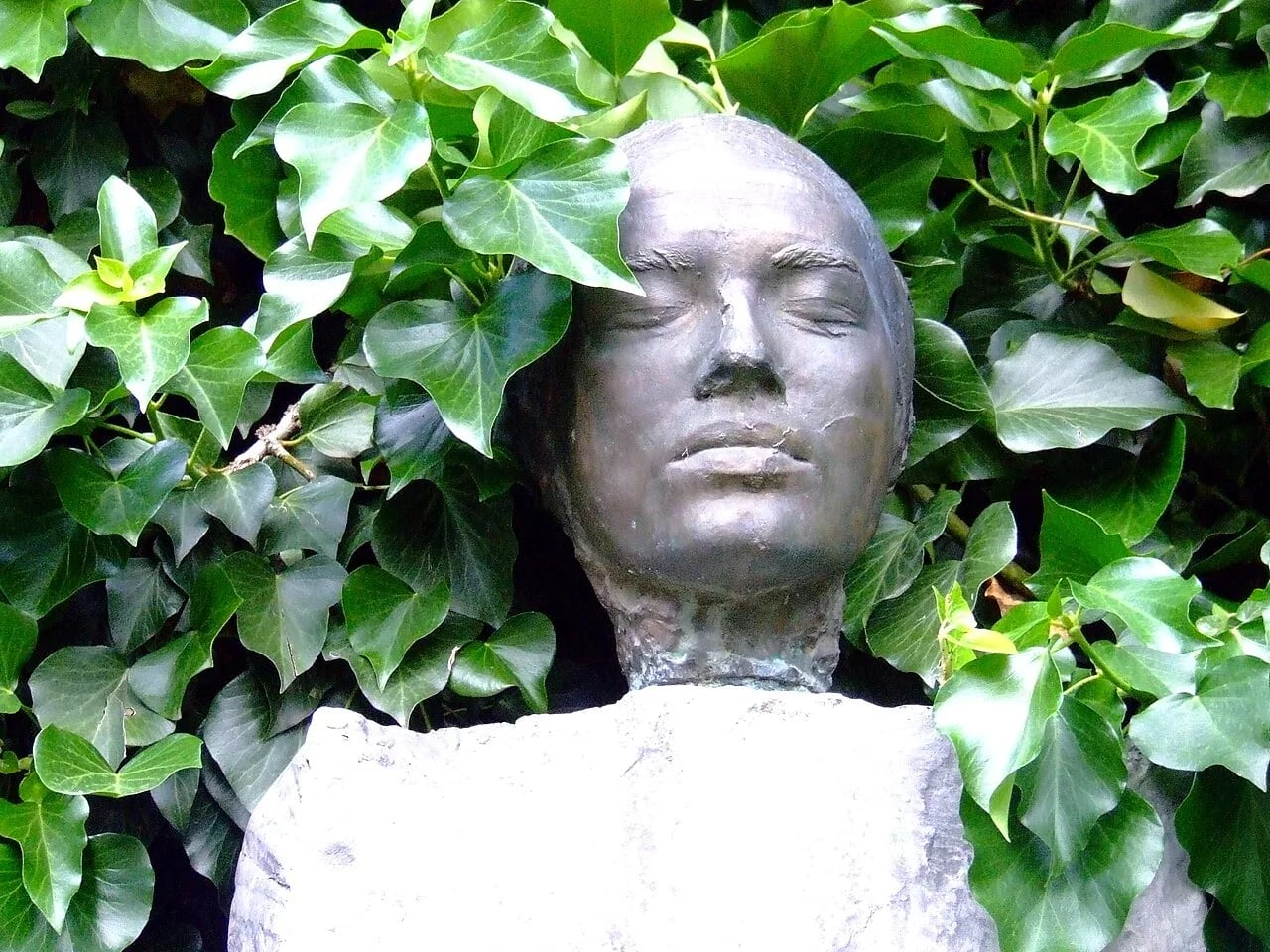 Portrait of Erzsébet Schaár (1908–1975) – memorial page