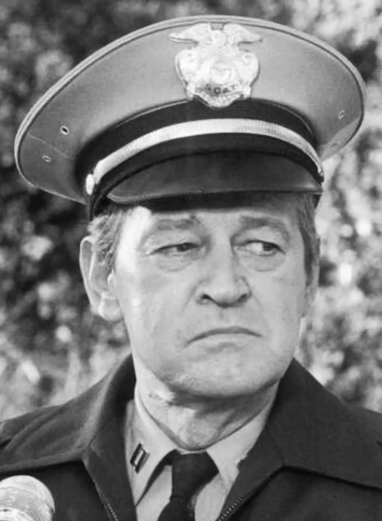 Portrait of Murray Hamilton (1923–1986) – memorial page