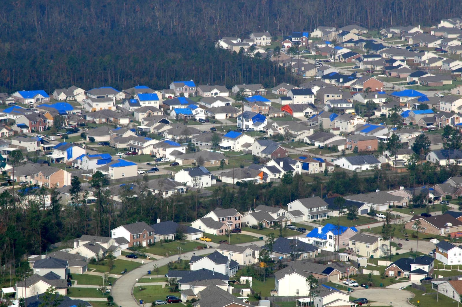 Covington
