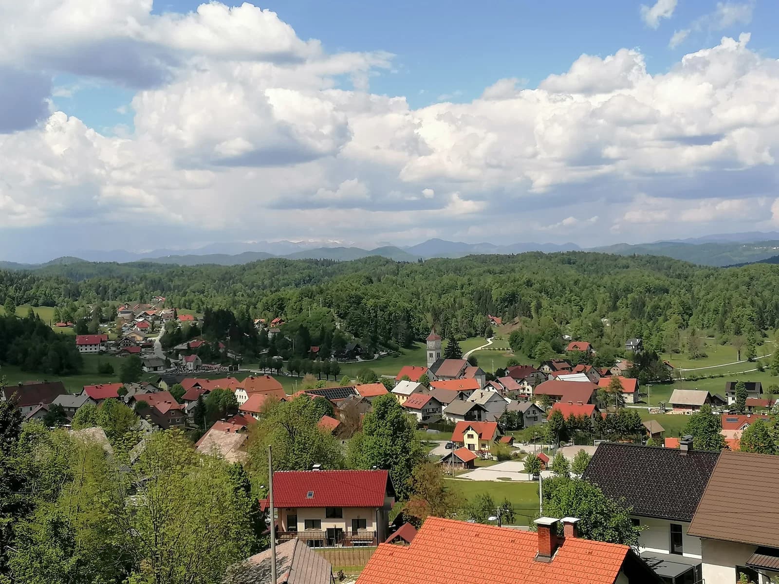 Črni Vrh