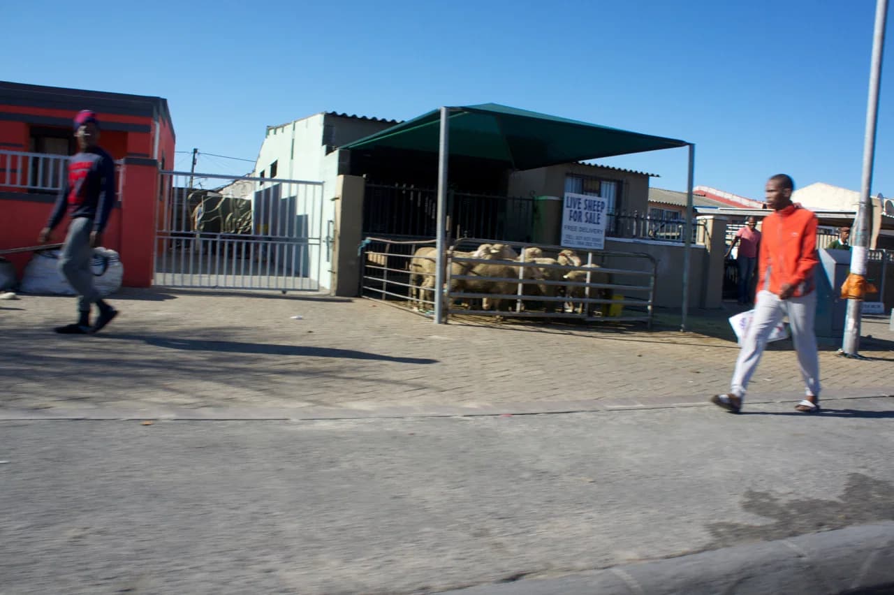 Gugulethu