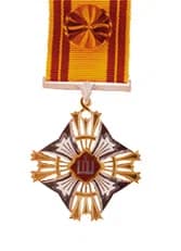Offizier des Ordens des litauischen Großfürsten Gediminas