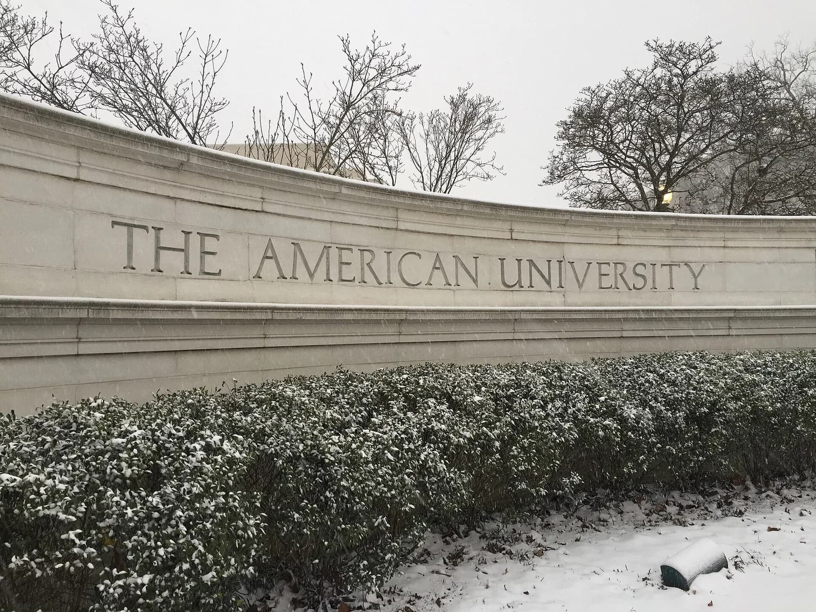 American University