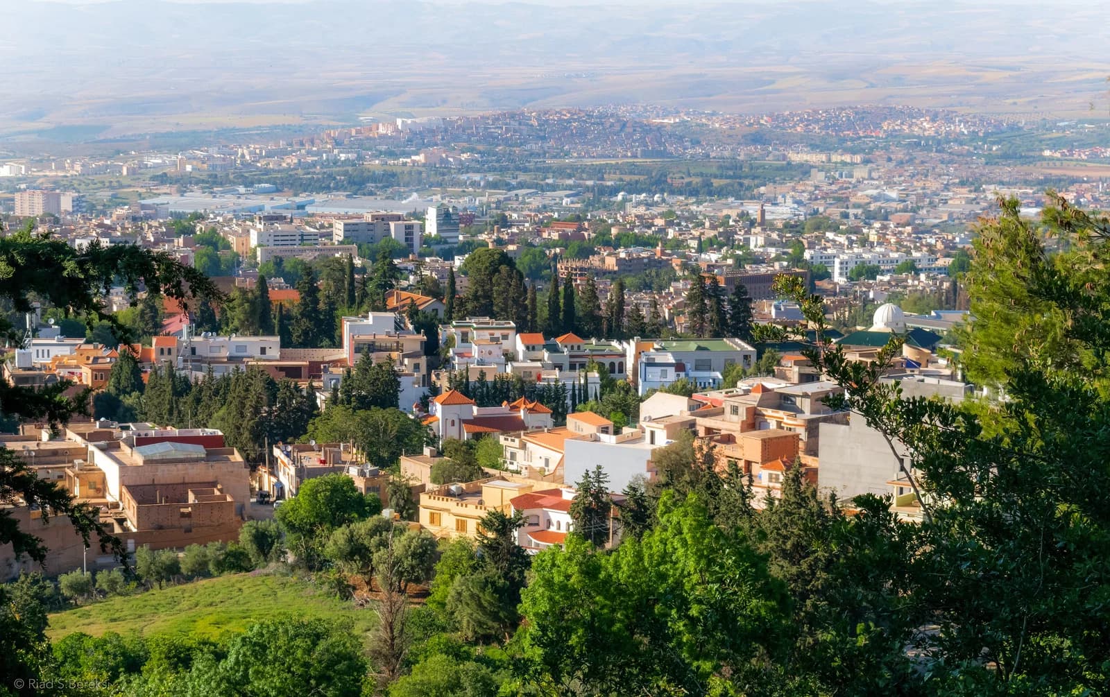 Tlemcen