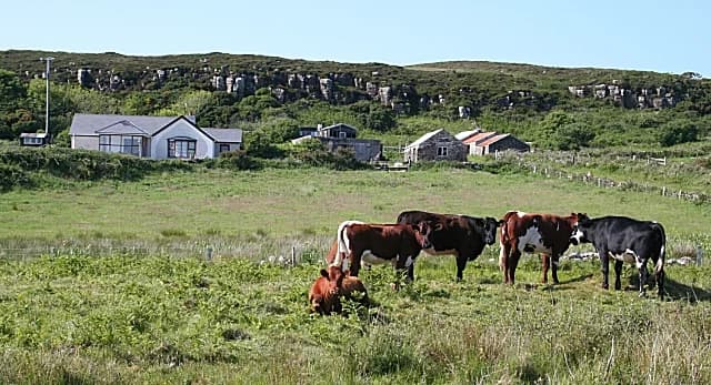 Antrim