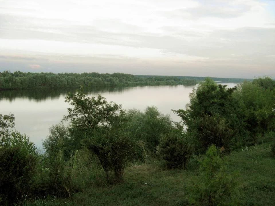 Lojeŭ District