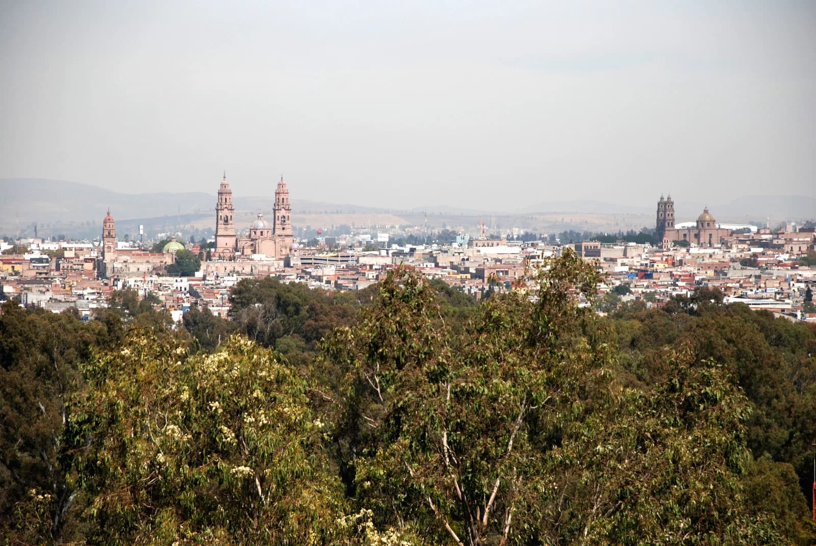 Morelia