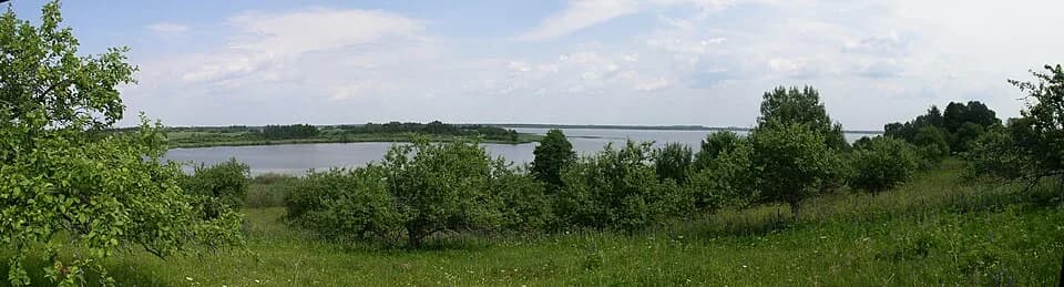 Rasony district