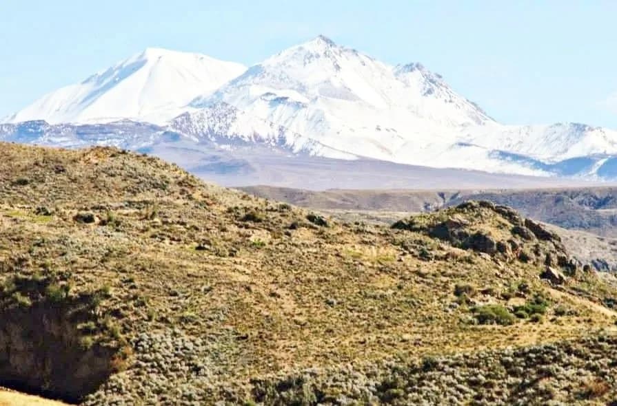 Tacna Department