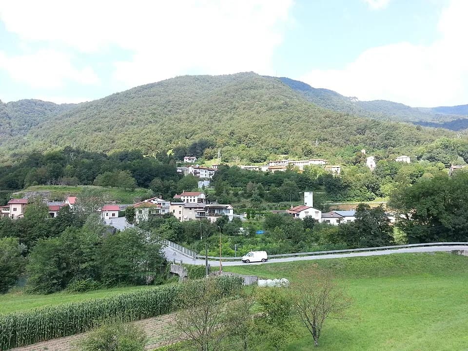 Plave
