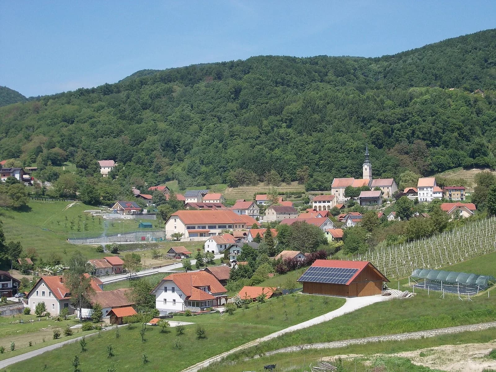 Pišece