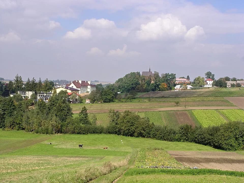 Luborzyca