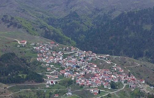 Avdella