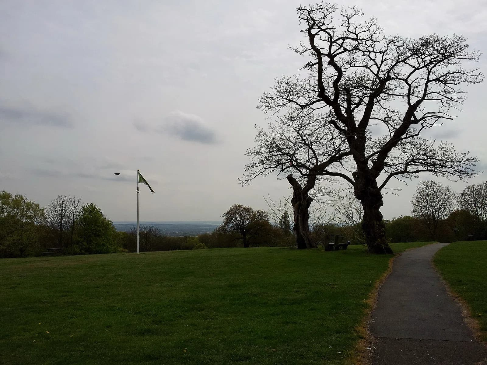 Shooter's Hill