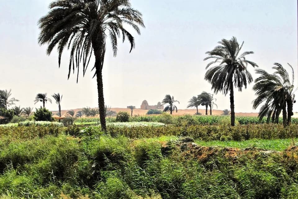 Faiyum Governorate