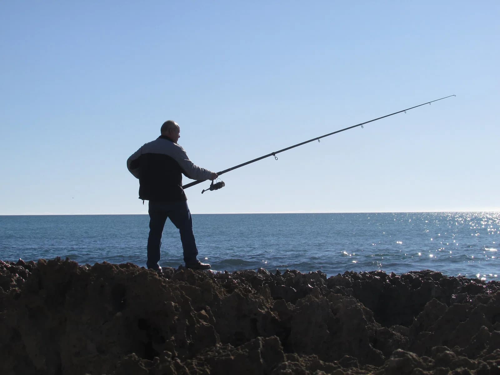fisher