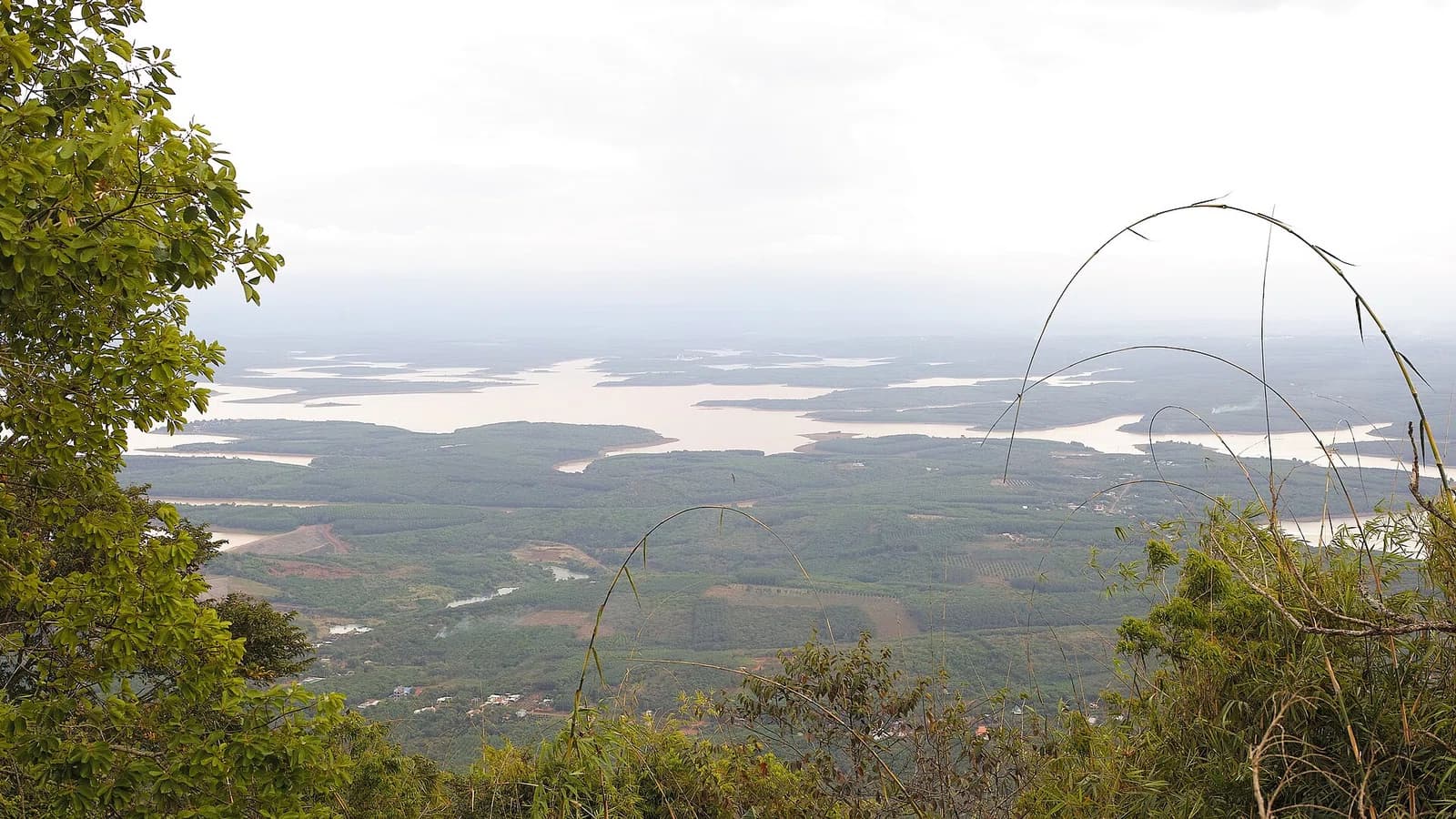 Bình Phước