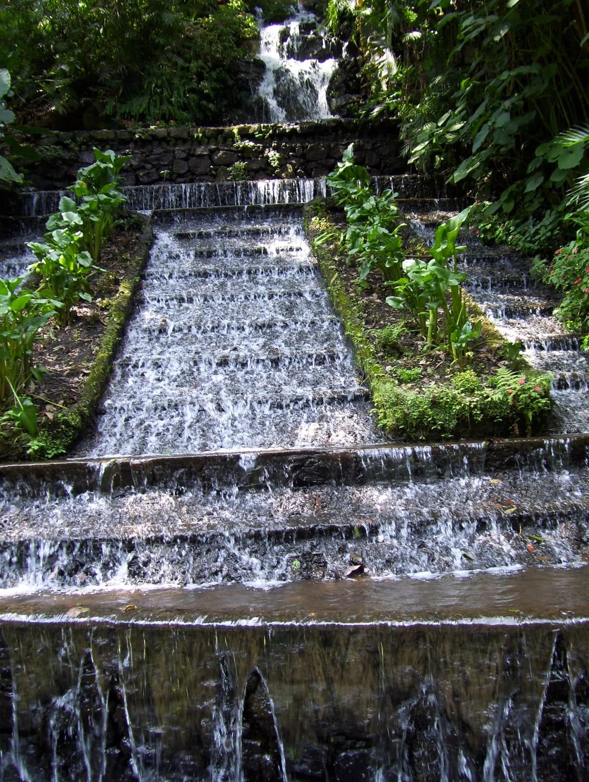 Uruapan del Progreso