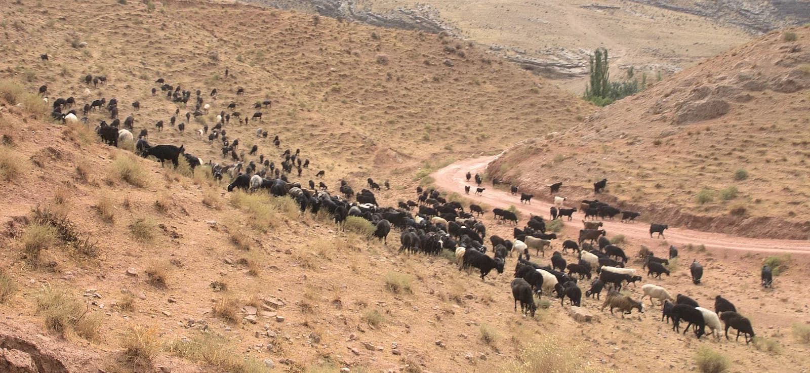 Ahal Region