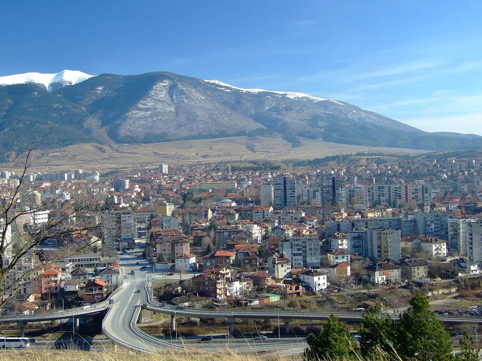 Dupnitsa
