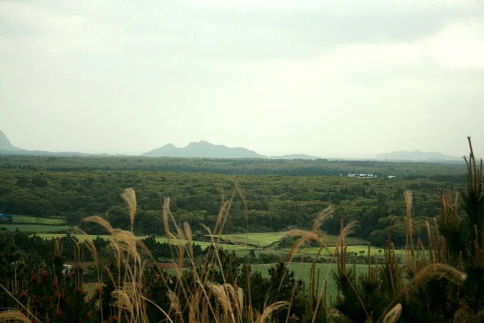 Jeju-do