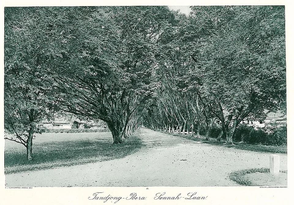 Tanjung Pura