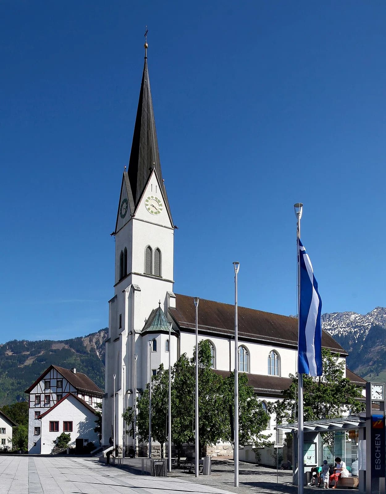 Eschen