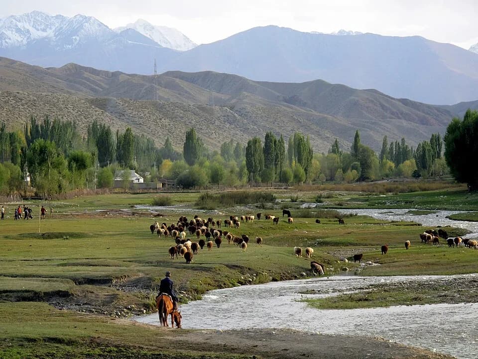 Issyk-Kul Region