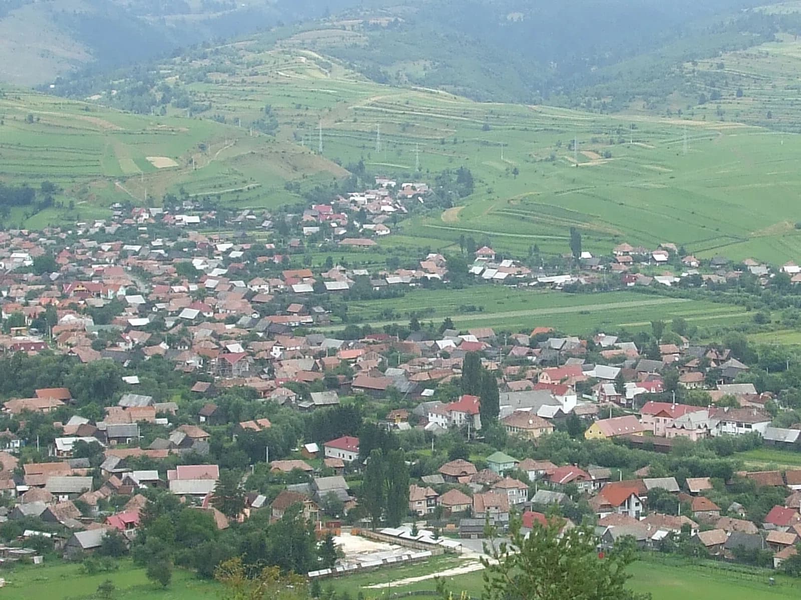 Sândominic