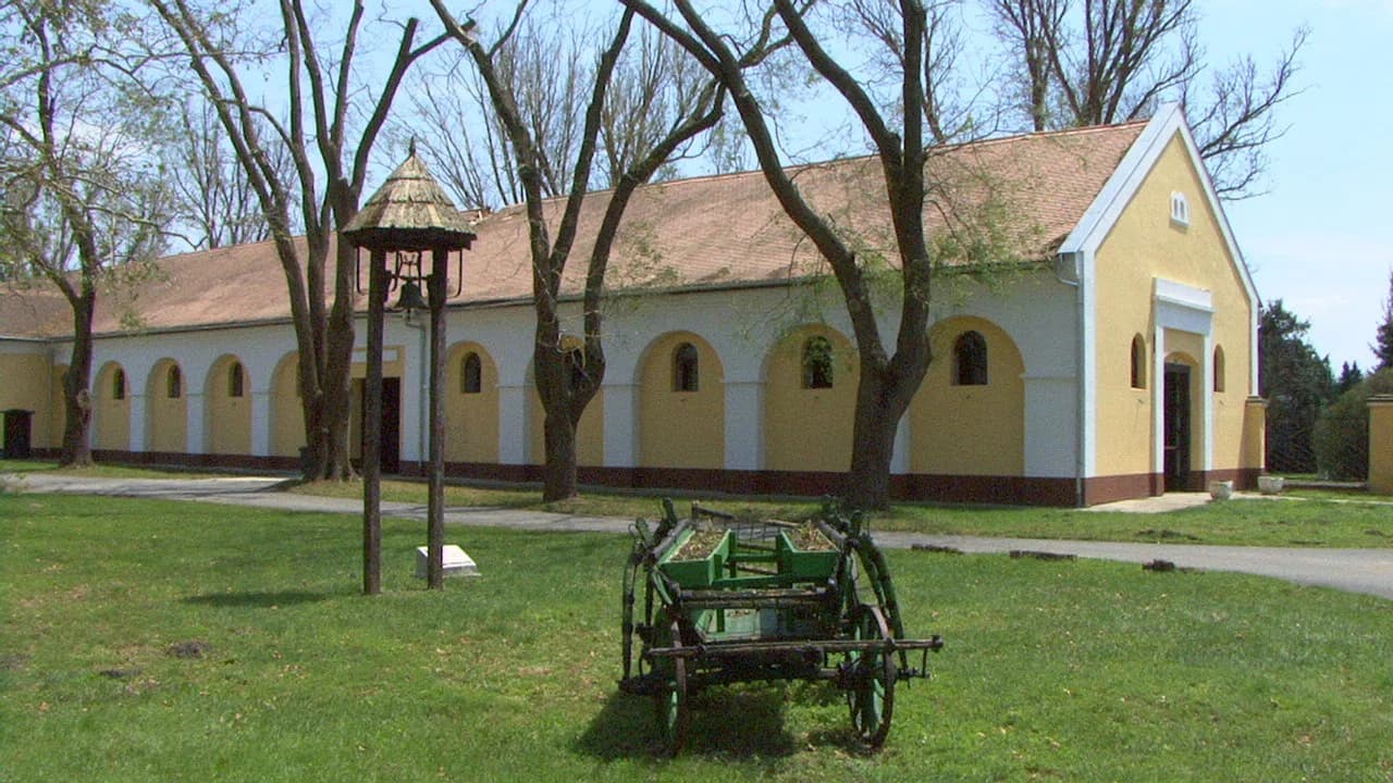 Mezőhegyes