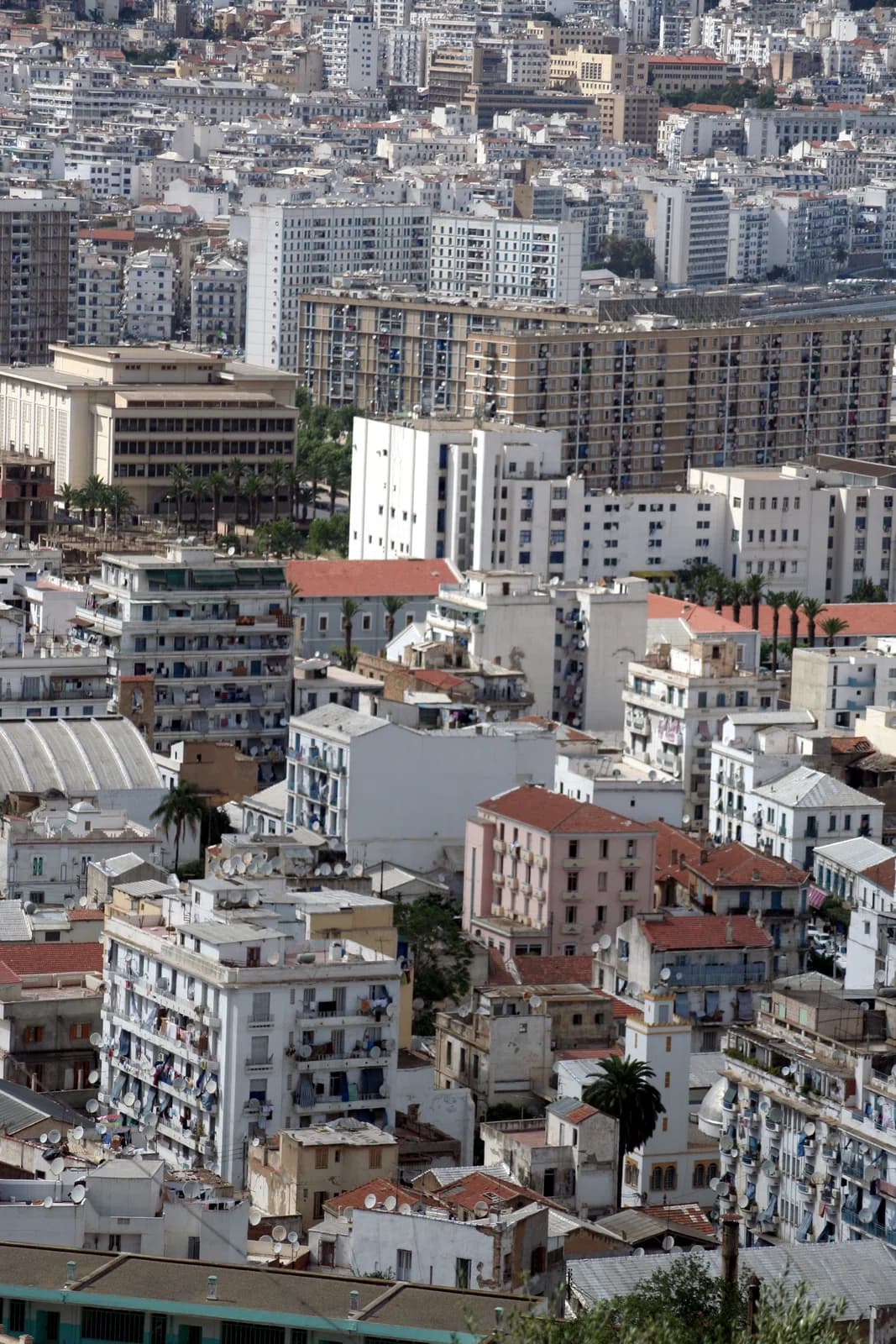 Belouizdad