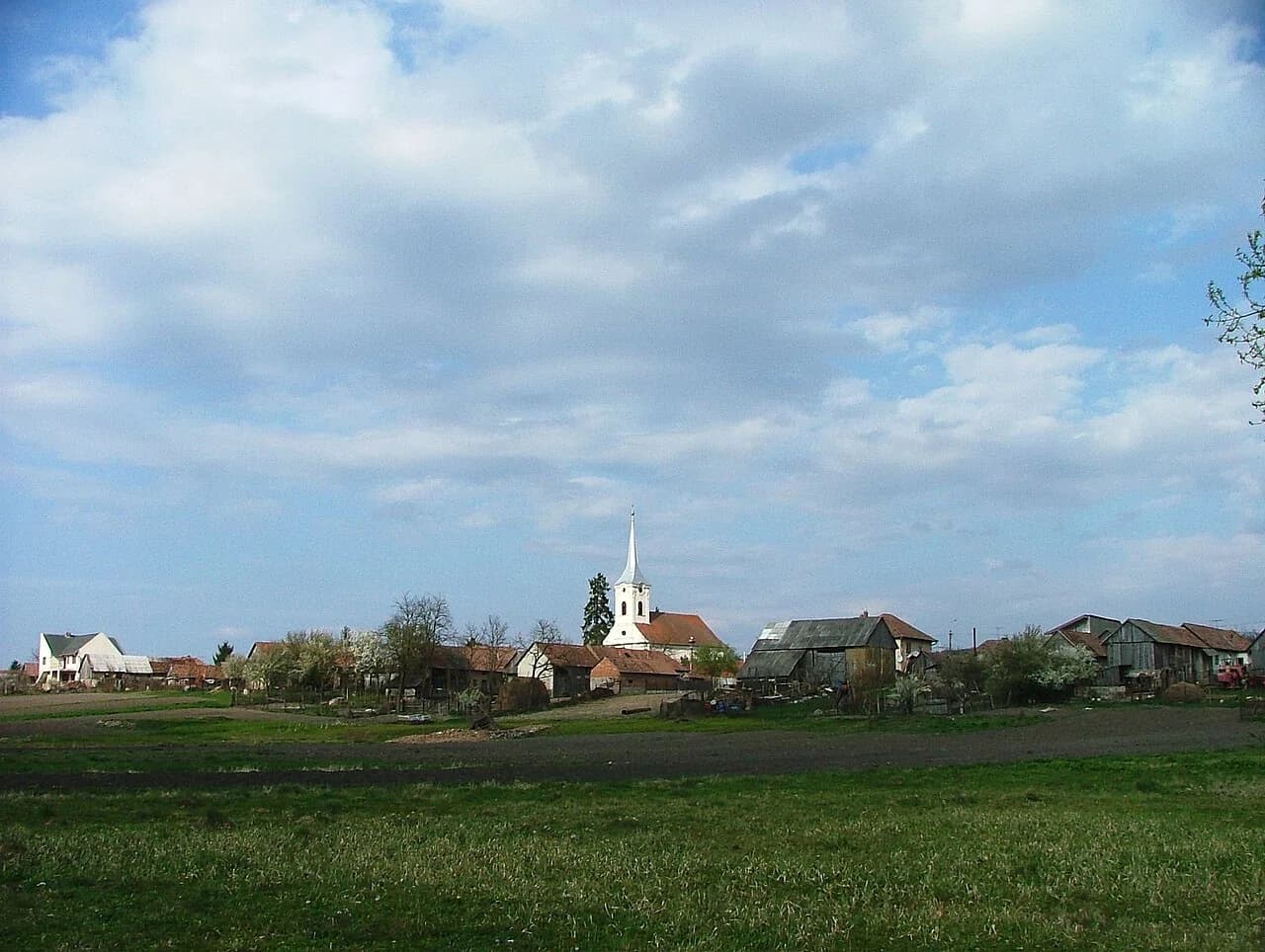 Dumbrăvioara