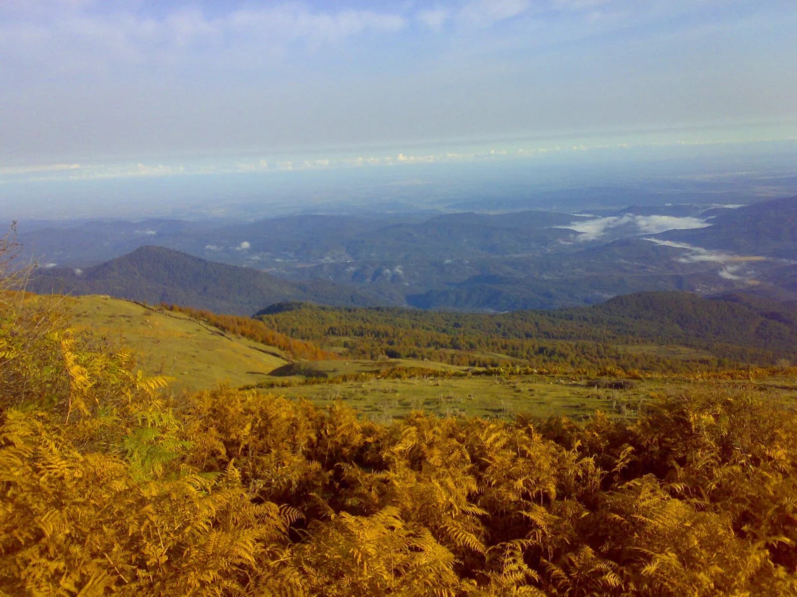 Sari County