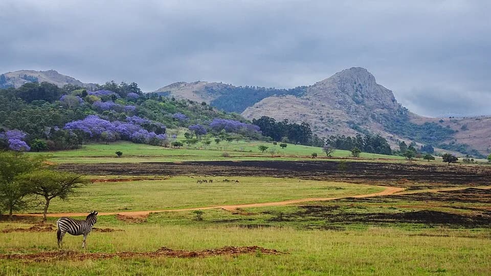 Hhohho - Mbabane Region