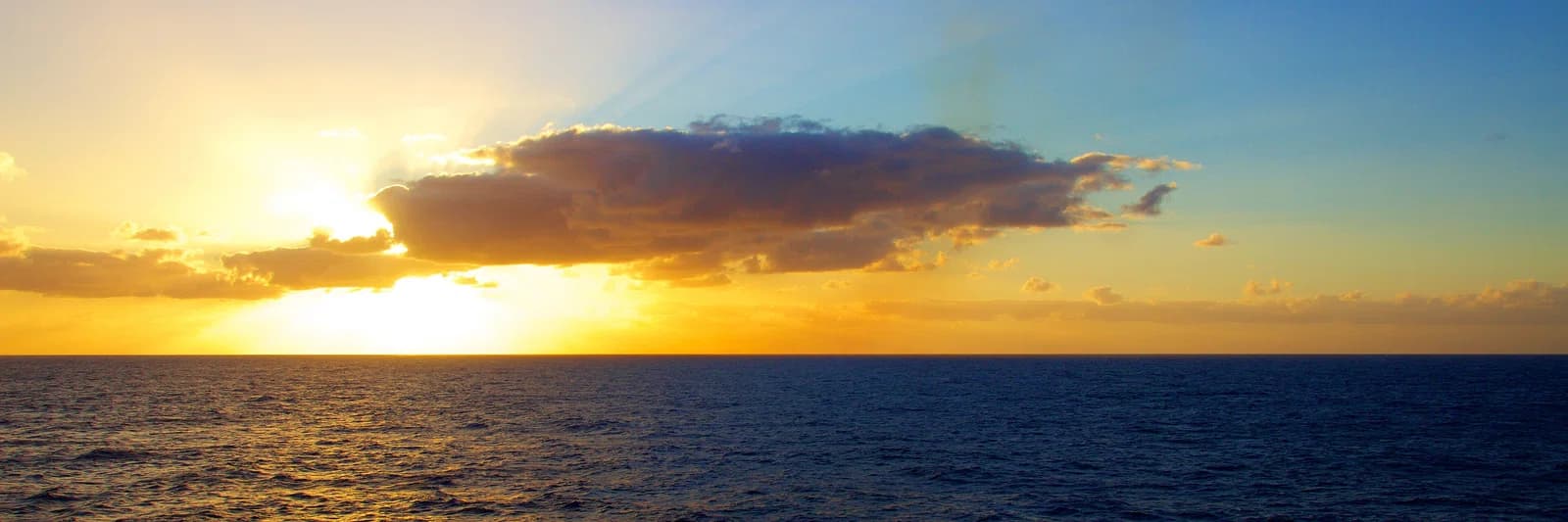 Coral Sea