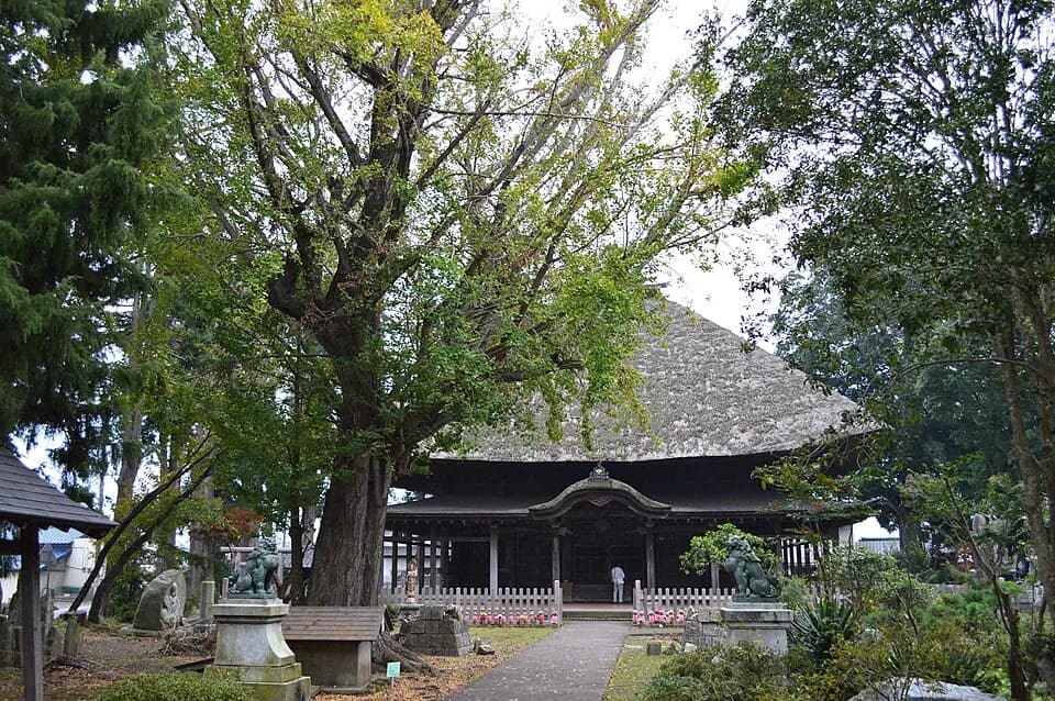 Hitachi-Ōta