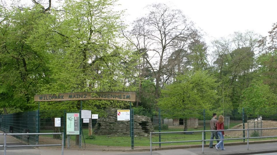 Gonsenheim