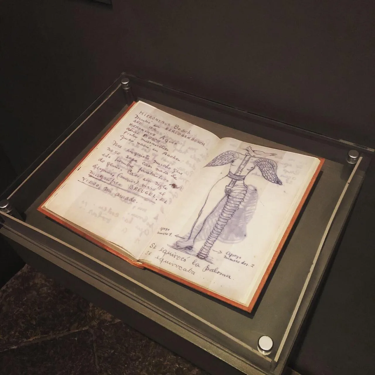Frida Kahlos Tagebuch im Museum