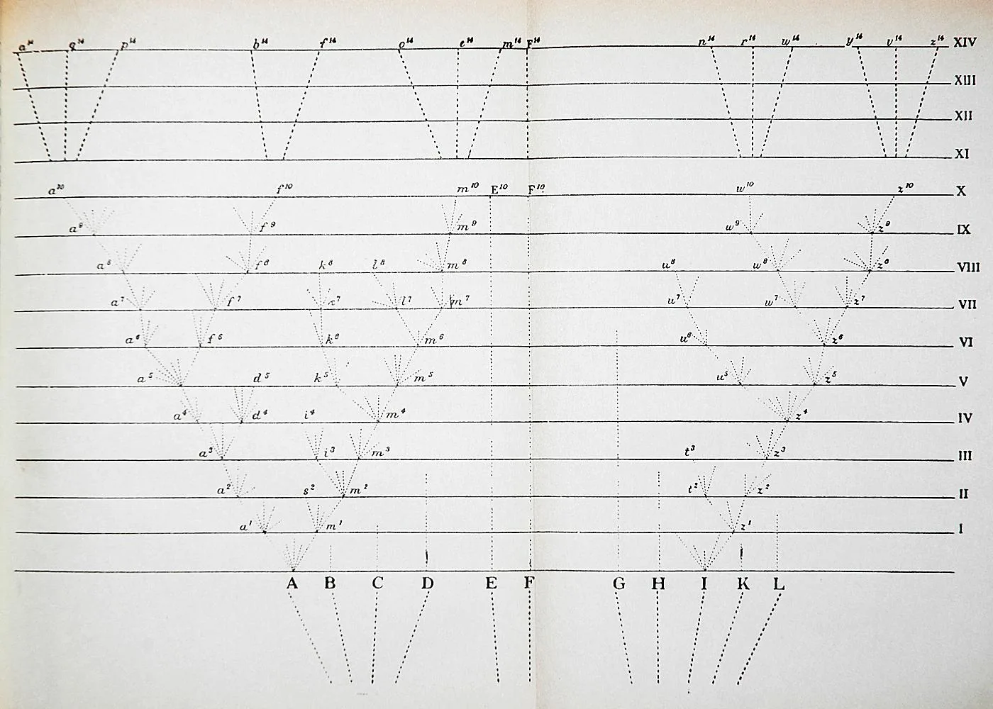Darwins Diagramm zur Verzweigung von Arten
